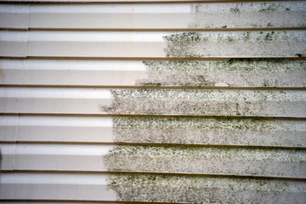 Professional Siding Installation & Repair in Web, AL