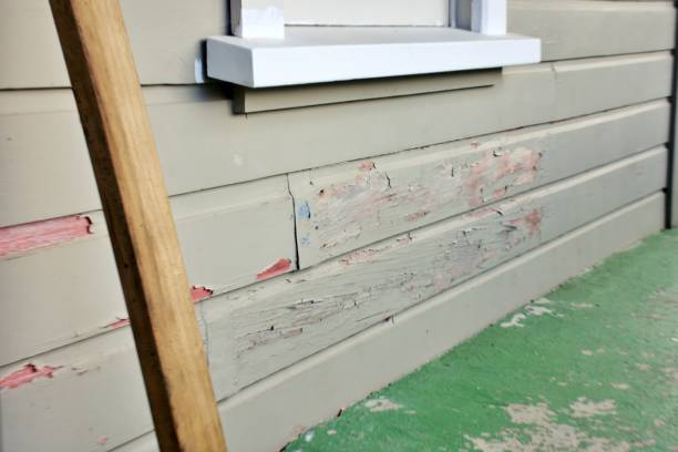 Siding for Commercial Buildings in Web, AL