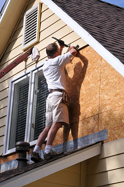 Best Custom Siding Design  in Web, AL